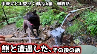 熊と遭遇したその後の話。感動のラスト！【甲斐犬と山登り：御岳山編　最終話】