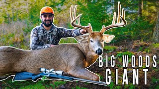 A GIANT New Hampshire Big Woods Swamp Buck