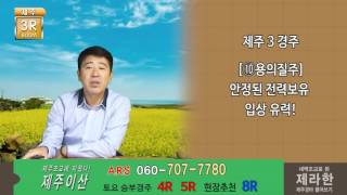 제주이산1001토