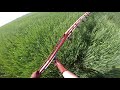 búza permetezés wheat spraying 2019 mtz 1025 gambetti 1200 20 gopro