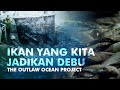 Ikan yang Kita Jadikan Debu | Dokumenter Kejahatan di Laut