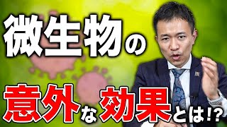 栄養価が高い食物は微生物が関係【シンヤ先生】