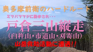 【ハイキング・登山・低山・奥多摩・山岳救助】戸倉三山（臼杵山・市道山・刈寄山）＆今熊山