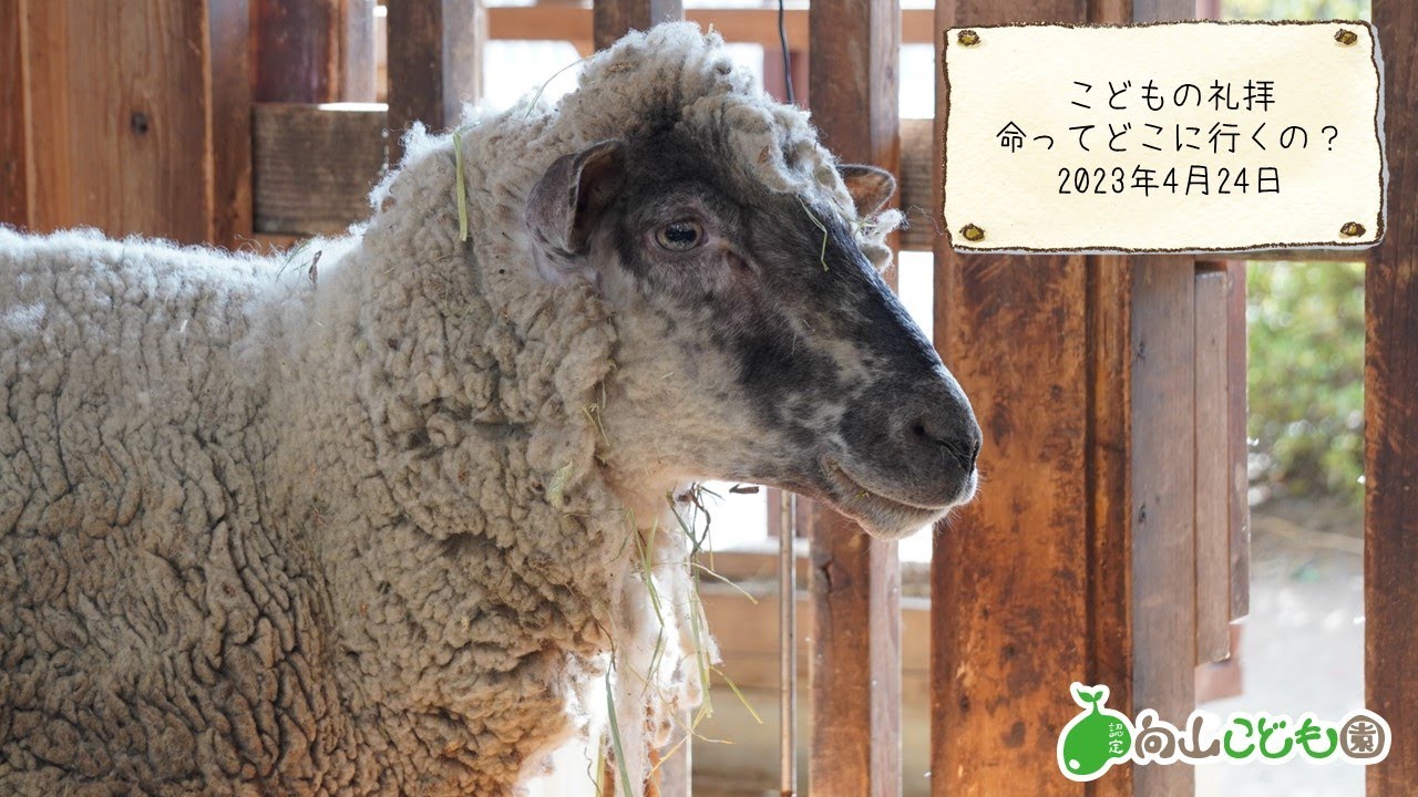 20230424 礼拝 Youtube