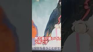 統一教会の本拠地、清平にあるパード園、平日は誰も来ない、閑古鳥が鳴いています。