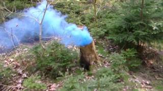 Blaue Rauchbombe in hohlem Baumstumpf / Blue Smoke Bomb in a Tree Stump