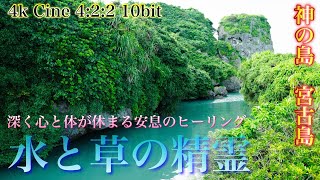 【疲労が消える水音の浄化】見るだけで心が休まる音と風景【リラックス、安眠、瞑想、ASMR】