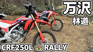 【CRF250L vs RALLY】万沢林道を駆け上がる