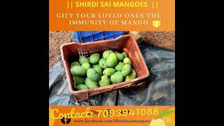 Farm Fresh mangoes available in Andhra and Telangana for Delivery.