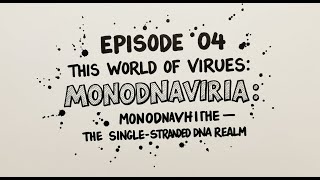 Episode 04 : This World of Viruses: Monodnaviria - The Single-Stranded DNA Realm