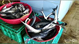 kasaragod fish market | Mythu media |