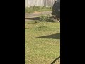 Mobile Police take kidnapping suspect into custody