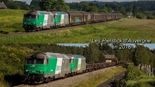 Les Pielstick d'Auvergne en 2016