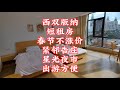 【小龙在版纳】西双版纳，短租房，春节不涨价，紧邻告庄，星光夜市。2024-10-23