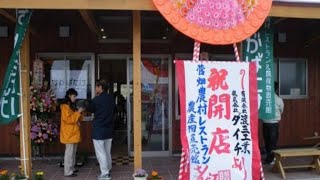 【本当に旨い店】新潟の旨い蕎麦屋🌟🌟🌟厳選　長岡市　農村レストランすがばたけ　40代独身一人旅