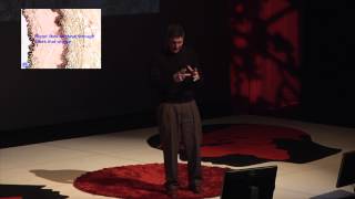 Human tissue engineered blood vessels | Dr. Jeffrey H. Lawson, M.D., Ph.D. | TEDxDuke