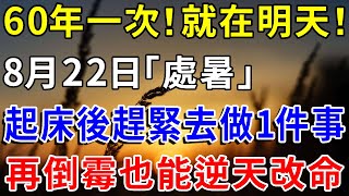 60年一次！就在明天！8月22日「處暑」，起床後趕緊去做1件事，再倒霉也能逆天改命！|菩提佛語 #運勢 #風水 #佛教 #生肖 #佛語禪心