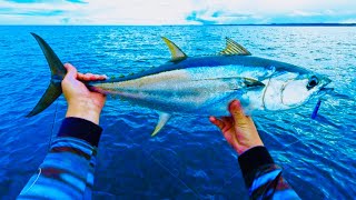 Hervey Bay Fishing | Fishing for pelagic in PARADISE !