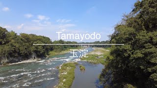 [4K] Tamayodo 玉淀 [Saitama 埼玉] [Walk 散歩] #6