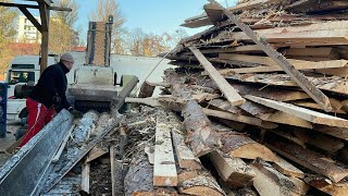 🪓 Can Machines Handle Logs This Big? 🌿