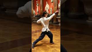 Tai Chi|拳技以沉着为本，静如山岳，动若江河 #taichi #kungfu #taichiquan #功夫 #太极  #太极拳 #中国功夫 #中华武术 #wushu #martialarts