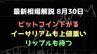 上昇がダマシになって下落｜ビットコイン、イーサリアム、リップルの値動きを解説