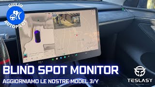 BLIND SPOT MONITOR - Let's increase safety on our TESLA