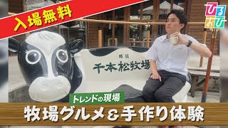 【ひるおび】極上ミルクソフトにバター作り！『那須千本松牧場』から渡部峻アナが中継