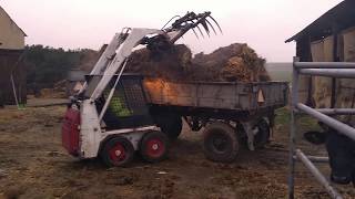 Wywóz Obornika Od Byków [02-01-2020] BobCat s70 554 W AKCJI | John Deere 6155M