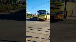 TNSTC New rebuild Yellow Bus#shorts #bus #tnstc