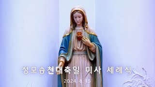 2024. 8. 15 성모승천 대축일 미사, 세례식     천주교 인천교구 김포성당  Assumpta est Maria