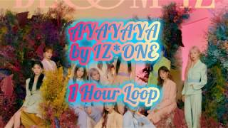 AYAYAYA by IZ*ONE 1 Hour Loop