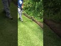 WATCH Stihl fs130 STRING TRIMMING Garden Bed Edge #lawncare #lawncarelife #shorts #stihl #short