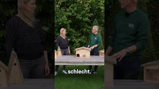 Wo sollte man ein Igelhaus platzieren? #igel #naturschutz #garten