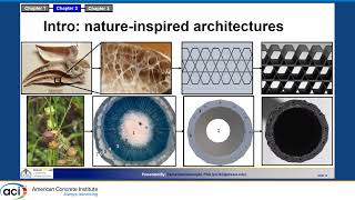 Using Nature-Inspired Patterns to Enhance Flexural Performance of Architected Polymer