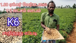 @deejayfarming8335இந்த முறையில் லாபகரமான வேர்கடலை விவசாயம்