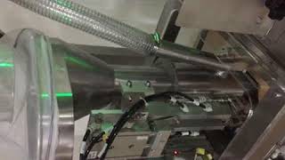 Ranga CMC 10 head weigher with Premade zipper pack machine