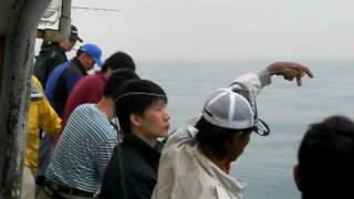 海釣 鐵板 2009-03-19 北方三島 其他釣友