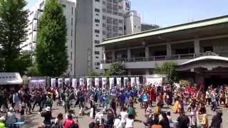 総踊り  2014 　わいわい若宮 　ＤＯ　ｉｔ！！