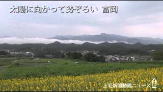 130731富岡・丹生湖近くのヒマワリHP