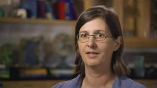 CCRS Mathematical Practice 4