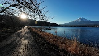 January 7, 2024 Strolling along Lake Kawaguchi while looking at Mt. Fuji