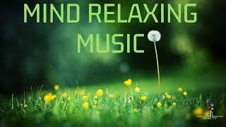 mind relaxing music for stress relief in tamil|Tamil Mind Relax Music part 1