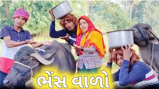 ભેંસ વાળો II aadivasi funny Gujarati comedy video Dahod ka desi Divan Bhuriya maju minama 09.2021