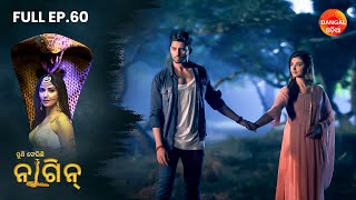 Puni Pherichi Naagin | Full Episode 60 | Dangal Odia | ପୁଣି ଫେରିଛି ନାଗୀନ | #punipherichinaagin