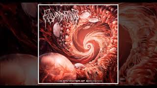 Fecundation - Fetal Devourment (2018) (Coyote Records)