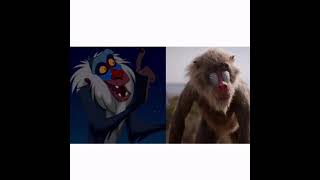 شخصيات سيمبا فالحقيقة simba characters in real life