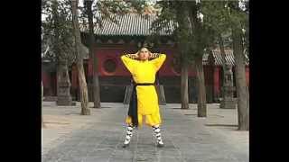 1. 少林易筋洗髓功 Shaolin Change Tendon Wash Marrow Kung Fu