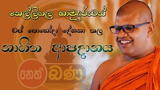 නාගිත ආපදානය​