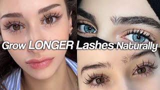 GROW Your EYELASHES FASTER | How to get LONG LASHES NATURALLY